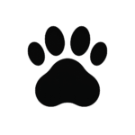 Mascotas